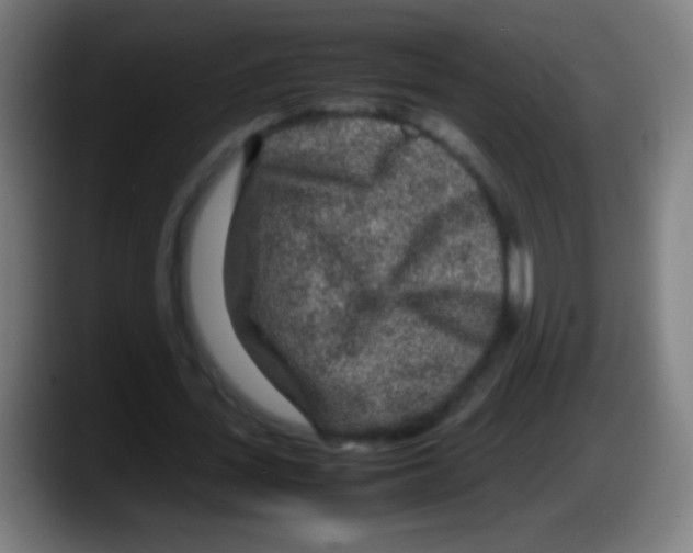 X0000087620723200705252002