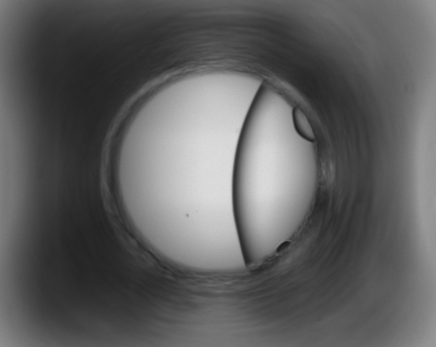 X0000087620724200705252002