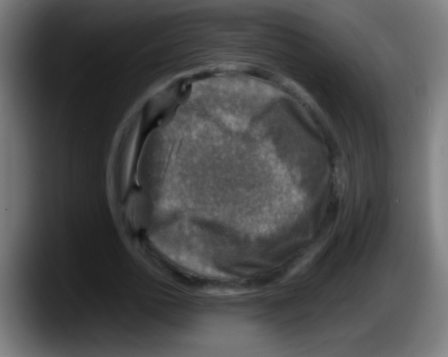 X0000087620726200705252002