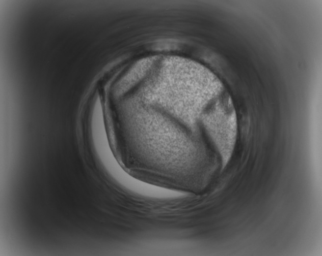 X0000087620727200705252002