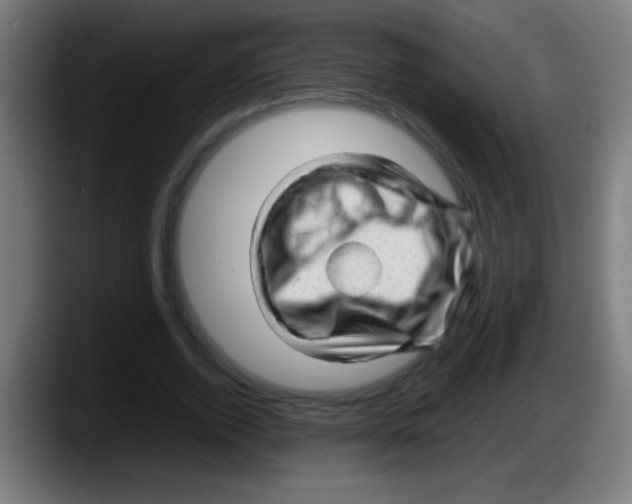 X0000087620728200705252002