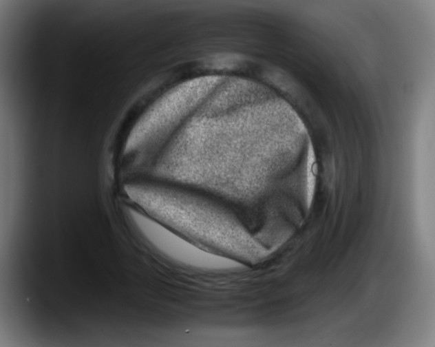 X0000087620731200705252002