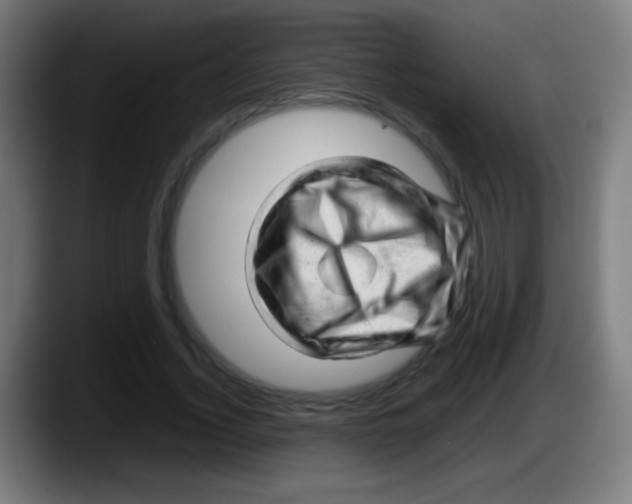 X0000087620732200705252002