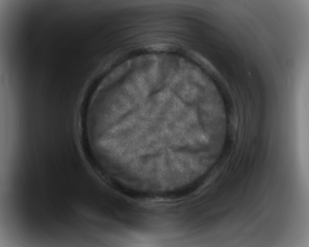 X0000087620734200705252002