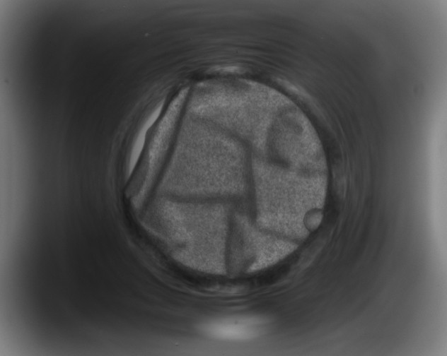 X0000087620735200705252002