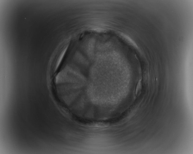 X0000087620736200705252002