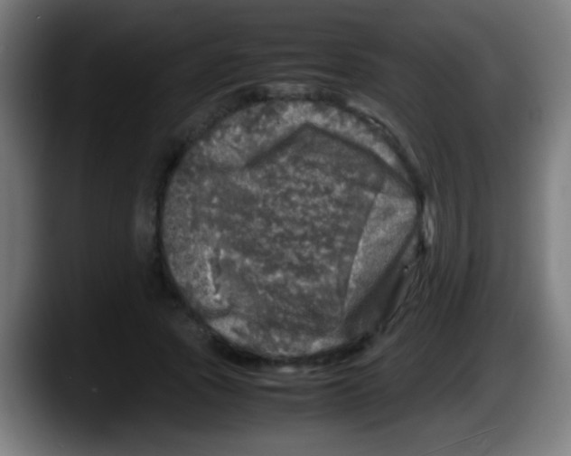 X0000087620737200705252002