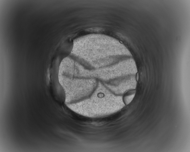 X0000087620739200705252002