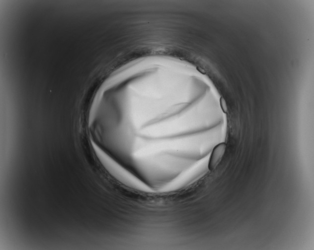 X0000087620740200705252002