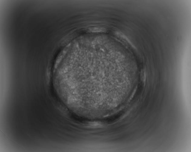 X0000087620741200705252002