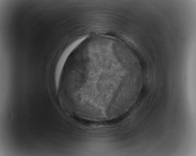 X0000087620742200705252002