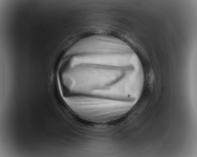 X0000087620744200705252002