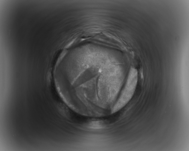 X0000087620746200705252002