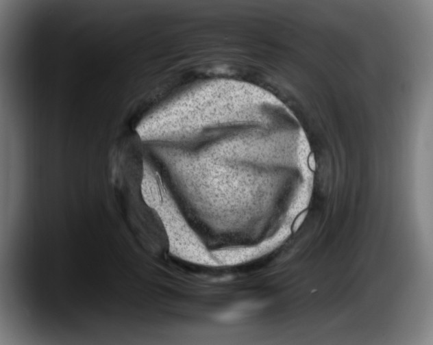 X0000087620747200705252002