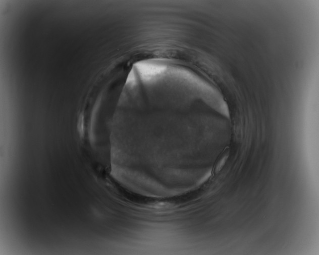 X0000087620748200705252002