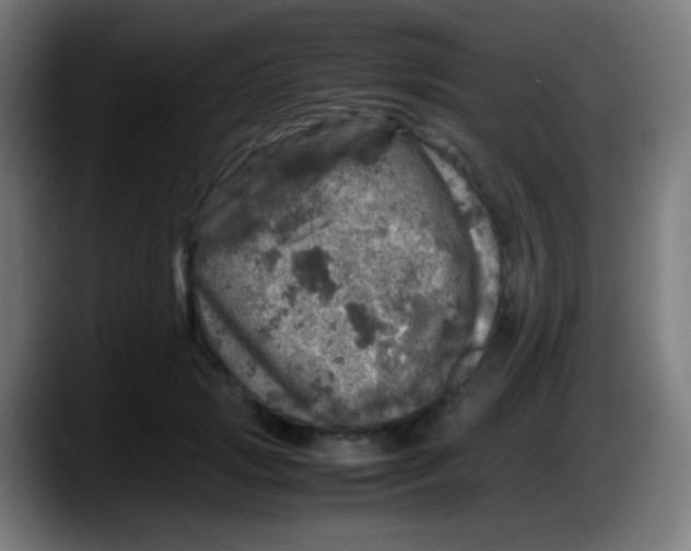 X0000087620749200705252002