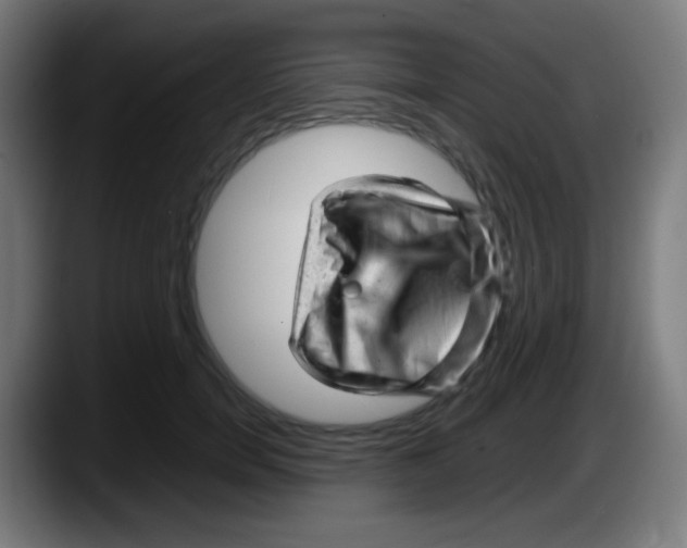 X0000087620750200705252002