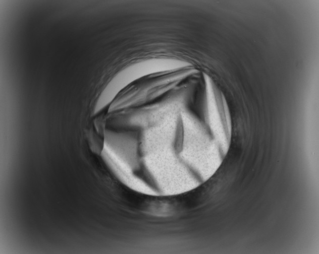 X0000087620751200705252002