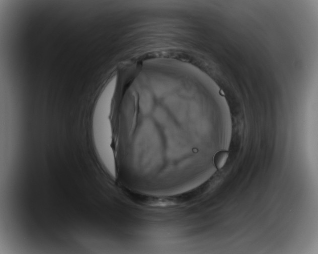 X0000087620754200705252002