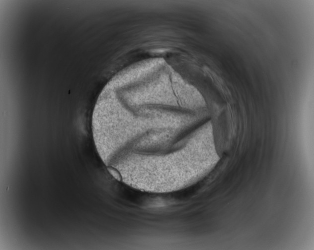 X0000087620755200705252002