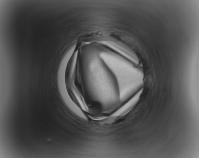 X0000087620756200705252002