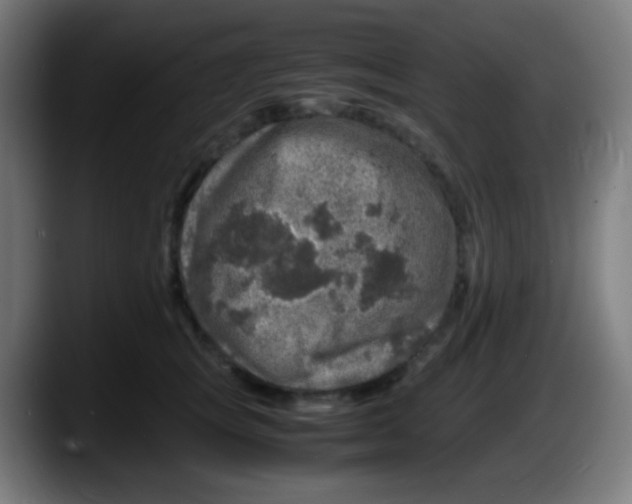X0000087620757200705252002