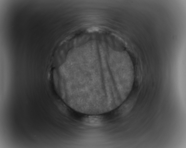 X0000087620758200705252002