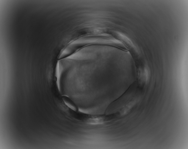 X0000087620760200705252002