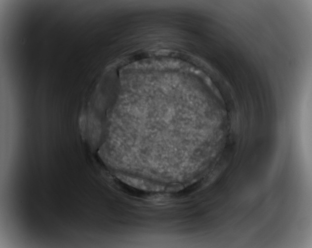 X0000087620761200705252002
