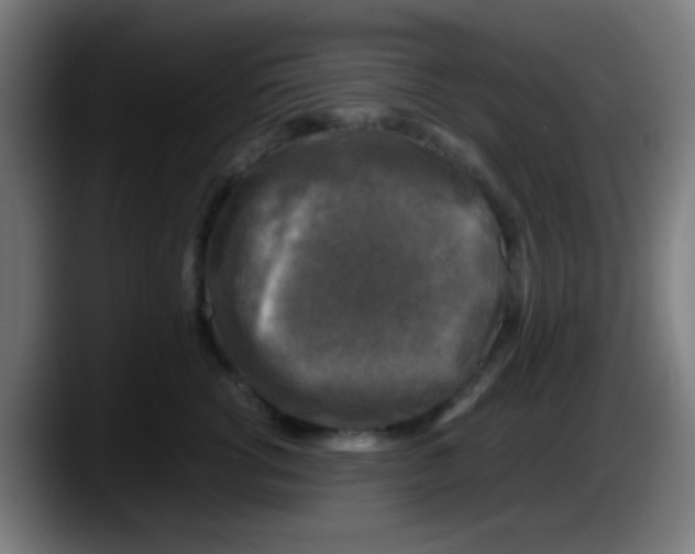 X0000087620762200705252002
