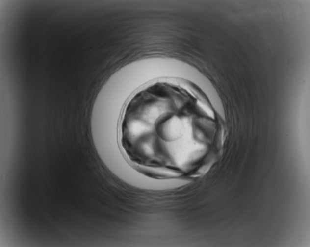 X0000087620764200705252002