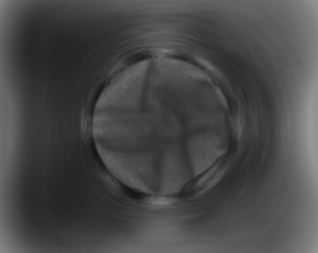 X0000087620766200705252002