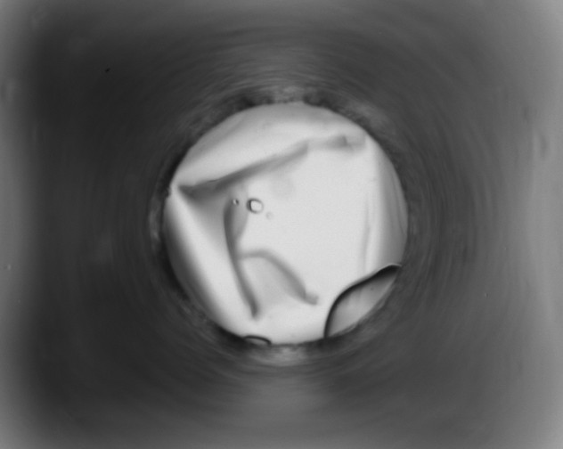 X0000087620768200705252002