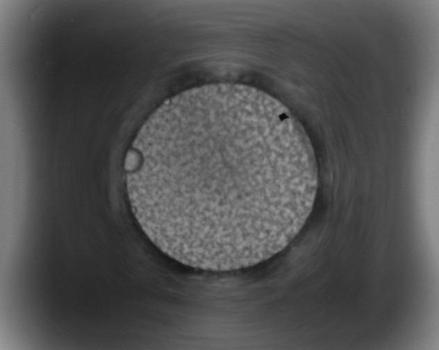 X0000087620769200705252002