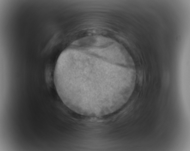 X0000087620770200705252002