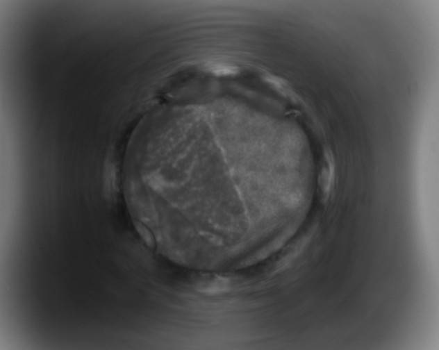 X0000087620772200705252002