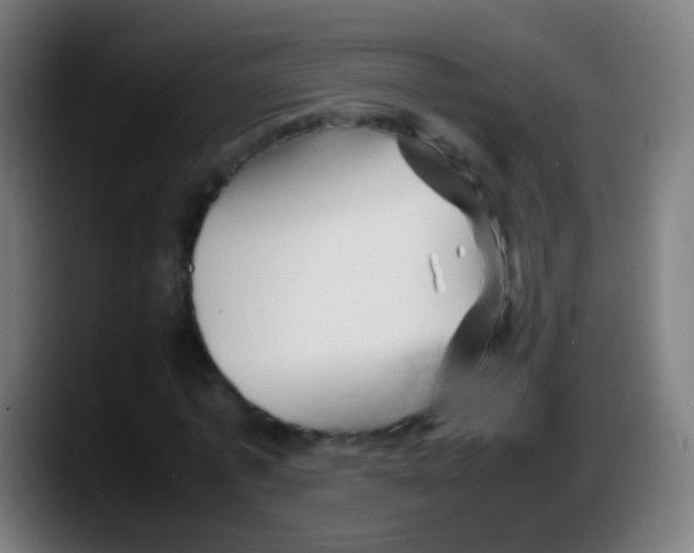 X0000087620773200705252002