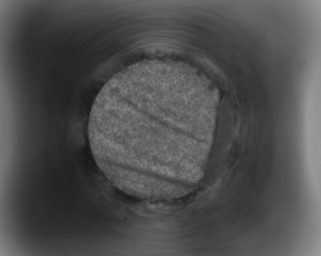 X0000087620774200705252002