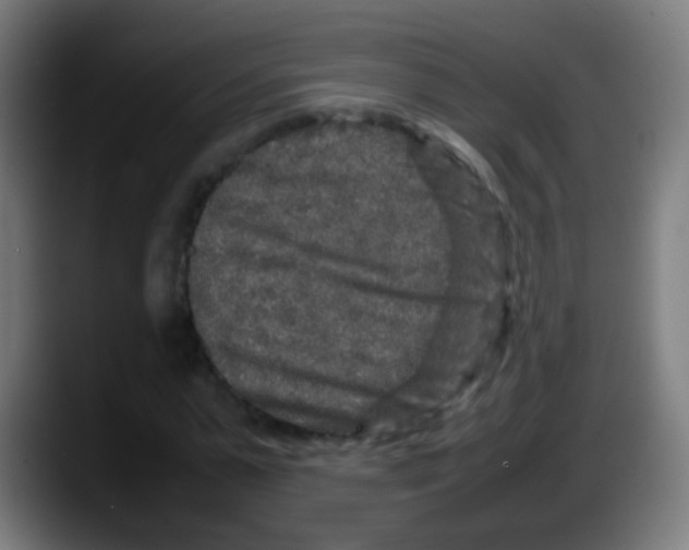 X0000087620775200705252002