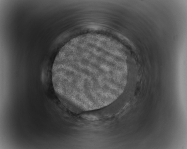 X0000087620776200705252002