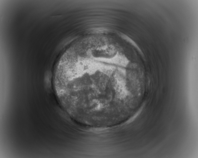 X0000087620778200705252002