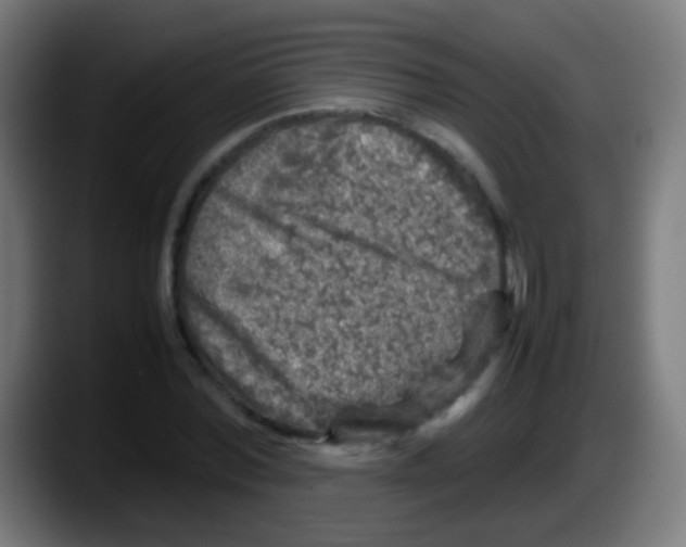 X0000087620780200705252002