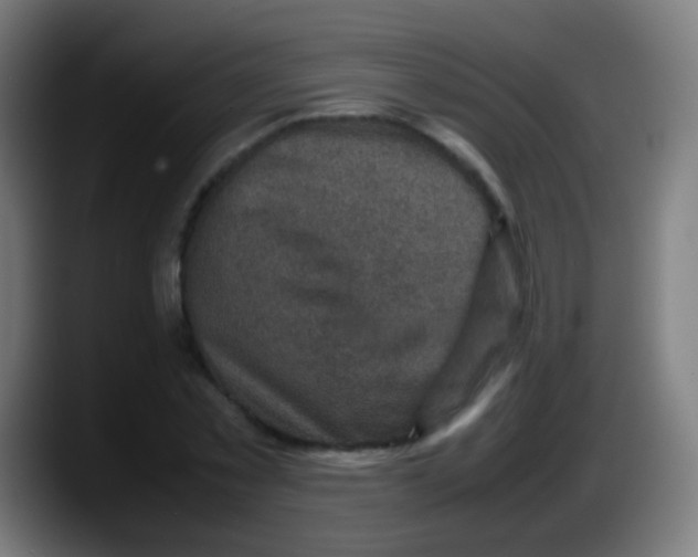 X0000087620781200705252002