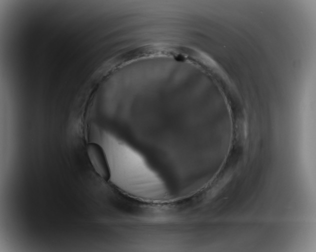 X0000087620785200705252001