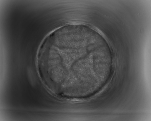 X0000087620787200705252001