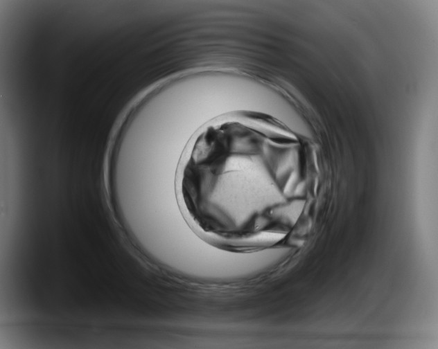 X0000087620788200705252001