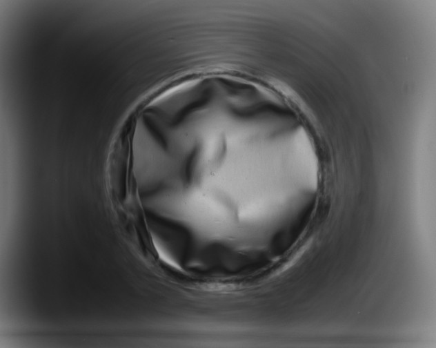 X0000087620789200705252001