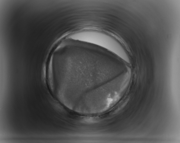 X0000087620790200705252001