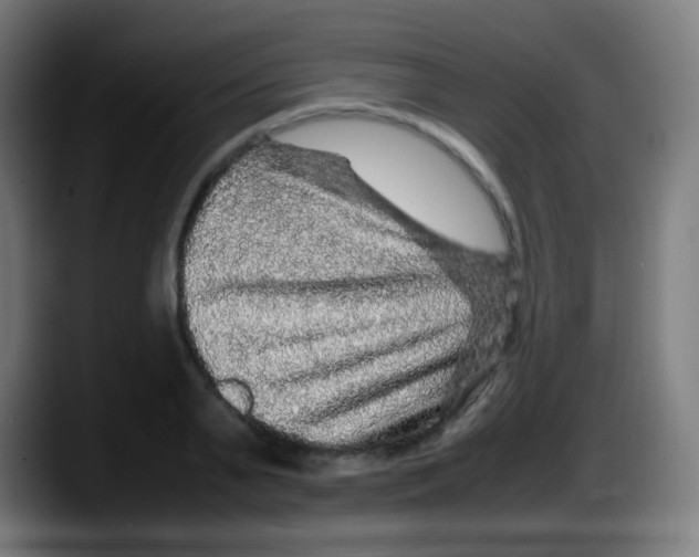 X0000087620791200705252001