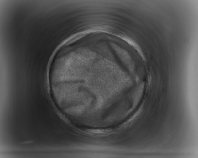 X0000087620792200705252001